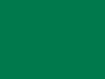 85 см № 258 яр. зеленый спираль (G) сорт-2 - купить в Ессентуках. Цена: 16.97 руб.
