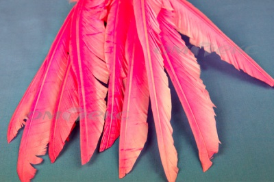 Декоративный Пучок из перьев, перо 25см/розовый - купить в Ессентуках. Цена: 14.40 руб.