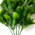 Трава искусственная -1, шт (эвкалипт лист 32 см/8 см)				 - купить в Ессентуках. Цена: 169.93 руб.