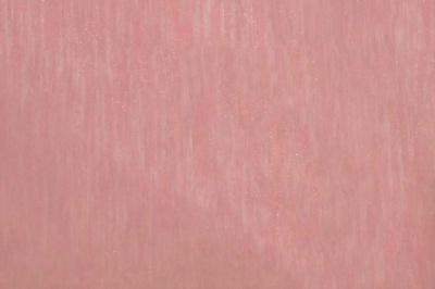 Органза однотонная "Амелия" С19 (Розовый) 280 см - купить в Ессентуках. Цена 303.09 руб.