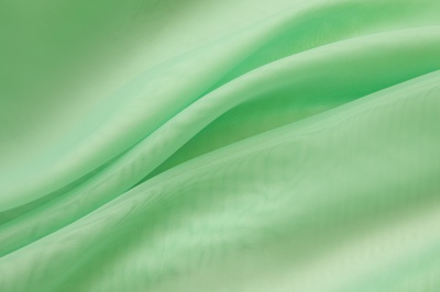 Портьерный капрон 13-6009, 47 гр/м2, шир.300см, цвет св.зелёный - купить в Ессентуках. Цена 143.68 руб.
