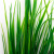 Трава искусственная -2, шт (осока 41см/8 см)				 - купить в Ессентуках. Цена: 104.57 руб.