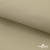 Ткань подкладочная TWILL 230T 14-1108, беж светлый 100% полиэстер,66 г/м2, шир.150 cм - купить в Ессентуках. Цена 90.59 руб.