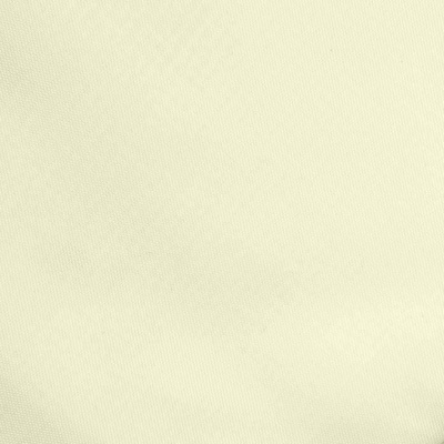 Ткань подкладочная Таффета 12-0703, антист., 53 гр/м2, шир.150см, цвет св.бежевый - купить в Ессентуках. Цена 62.37 руб.