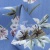 Плательная ткань "Фламенко" 12.1, 80 гр/м2, шир.150 см, принт растительный - купить в Ессентуках. Цена 241.49 руб.