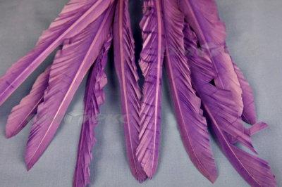 Декоративный Пучок из перьев, перо 25см/фиолетовый - купить в Ессентуках. Цена: 12.19 руб.