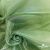 Ткань органза, 100% полиэстр, 28г/м2, шир. 150 см, цв. #27 зеленый - купить в Ессентуках. Цена 86.24 руб.
