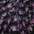 Плательная ткань "Фламенко" 20.1, 80 гр/м2, шир.150 см, принт растительный - купить в Ессентуках. Цена 241.49 руб.