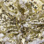 Трикотажное полотно, Сетка с пайетками, шир.130 см, #315, цв.-белый/золото - купить в Ессентуках. Цена 693.39 руб.