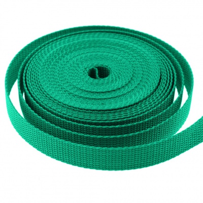 Стропа текстильная, шир. 25 мм (в нам. 50+/-1 ярд), цвет яр.зелёный - купить в Ессентуках. Цена: 397.52 руб.